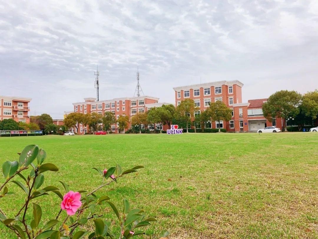 草绿花红.jpg