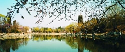 北京引航者教育