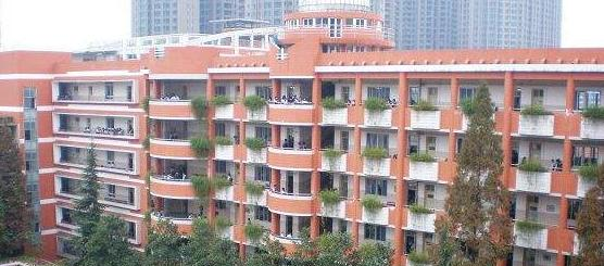 武汉二中国际部地址在哪里