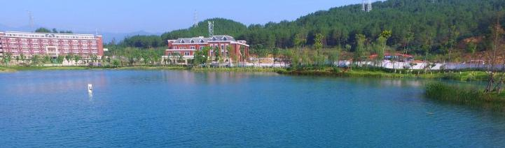 广元天立国际学校小学部2020年学费、收费多少