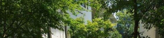 西安第十五中学怎么样、好不好