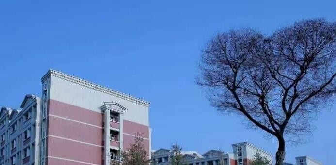 四川中医药高等专科学校单招