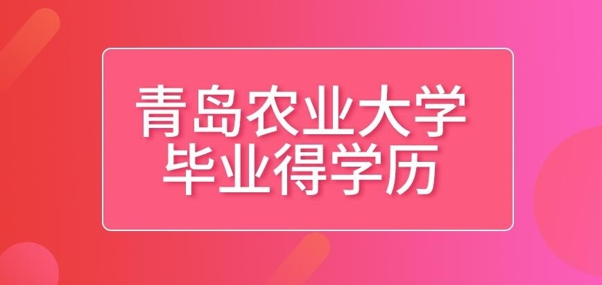 青岛农业大学在职研究生毕业得哪一种学历呢
