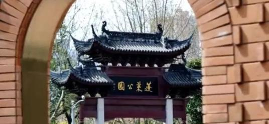 上海市大同中学2023年招生计划 