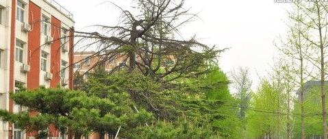 荆州东方中等职业学校怎么样、好不好