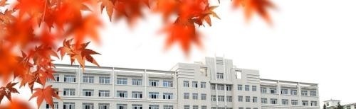 山东药材技工学校