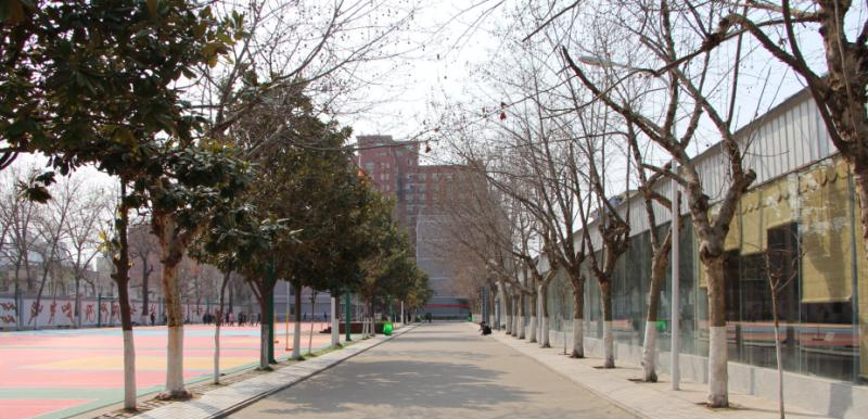 河南电子科技学校怎么样、好不好