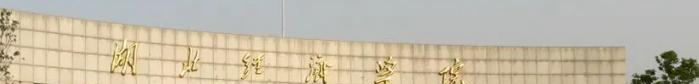 湖北经济学院是不是双大学？