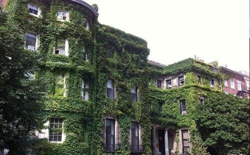 波士顿大学