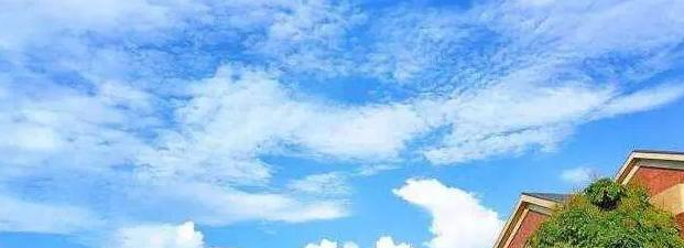 广州英东中学2023年入学条件2