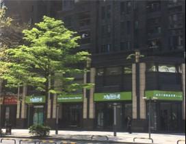 深圳大脑地图少儿英语