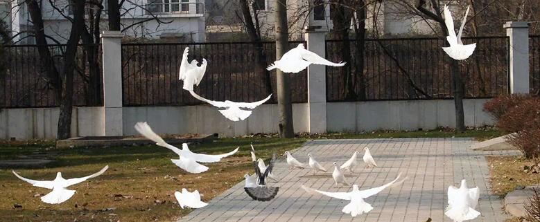 北京澳际国际学校怎么样