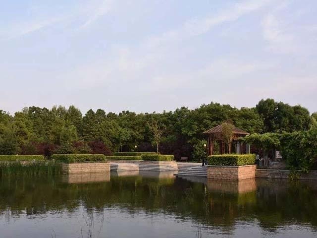 校园景色1