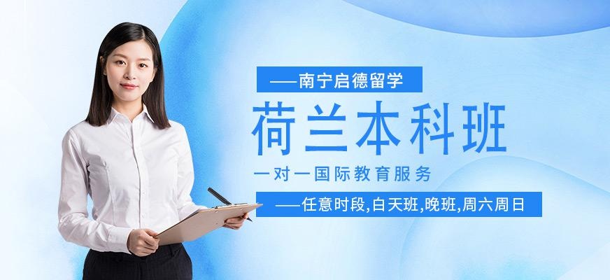 南宁荷兰本科留学服务