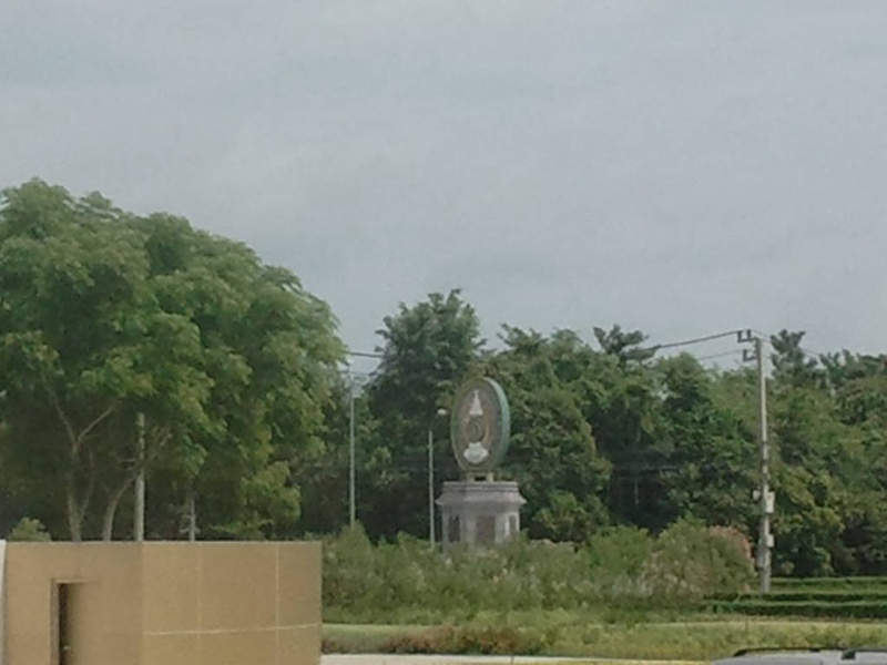 四色菊皇家大学