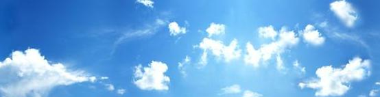 深圳石岩公学国际部小学2023年招生计划