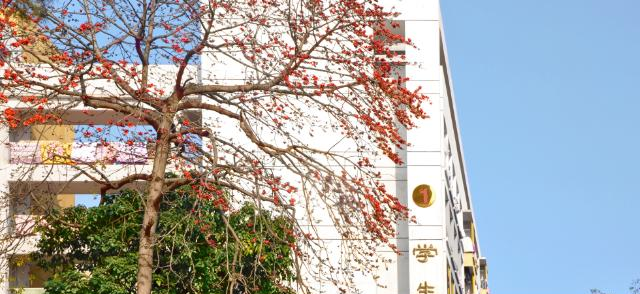 广东科贸职业学院2020年招生办