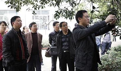 昆明市外国语学校国际部