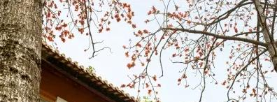 廣雅中學(xué)博雅國(guó)際班靠譜嗎2