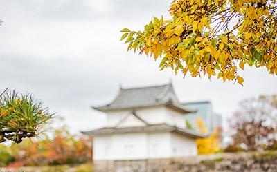 日企就职
