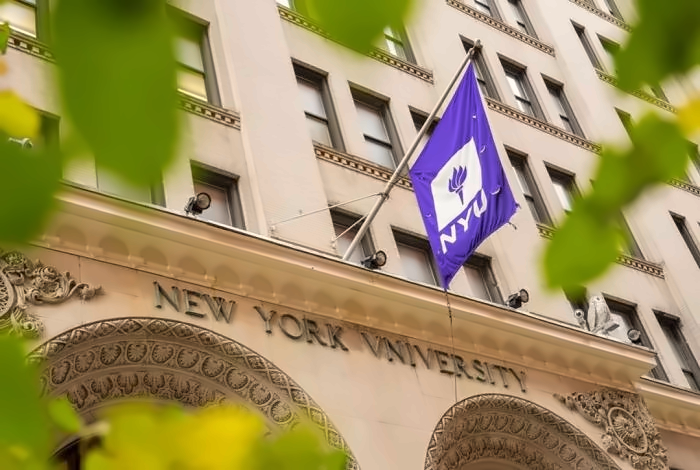纽约大学
