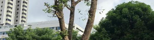 汕头经贸职业技术学校