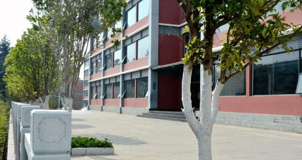 截图_20191018155646