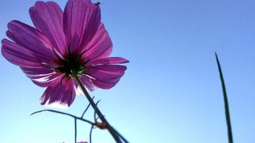 人力资源规划实际运用