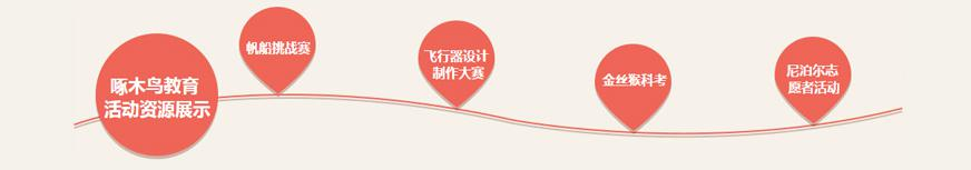 啄木鸟活动资源展示