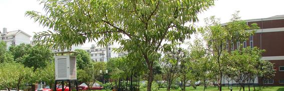 苏州外国语学校网站