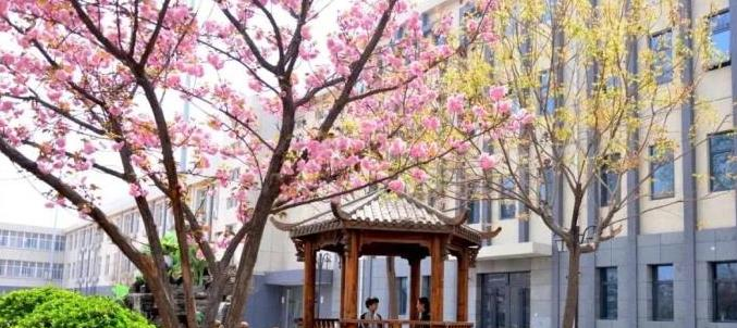 石家庄二中西校区网站