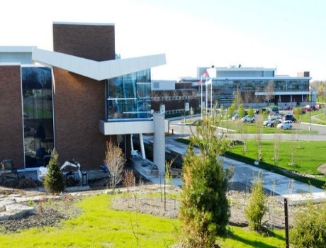 尼亚加拉学院