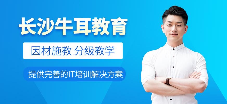 长沙牛耳IT培训