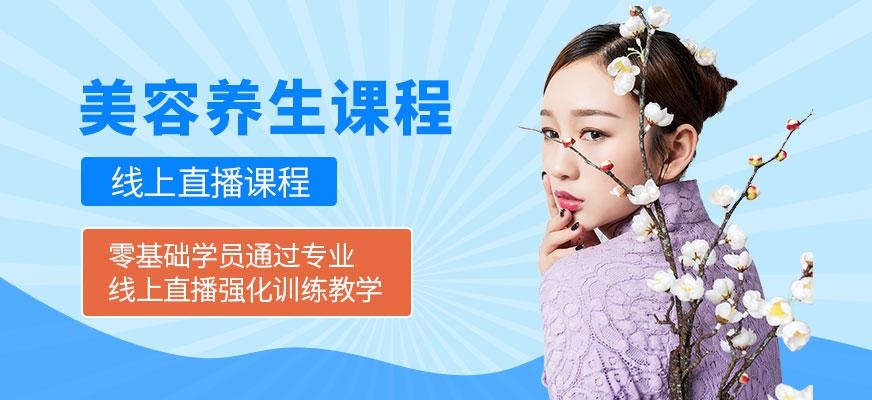 美容养生在线培训