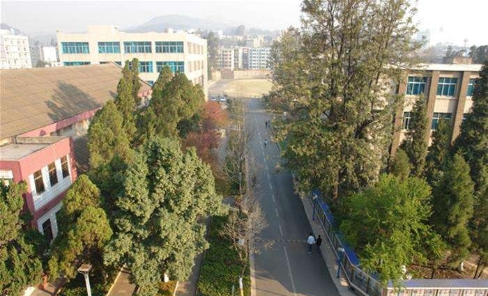 云南省旅游学校网站