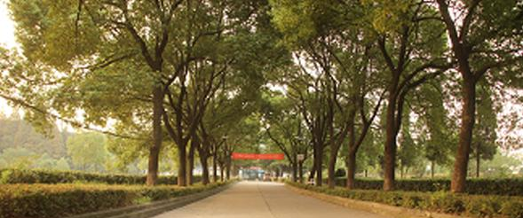 武汉江南技术学校5