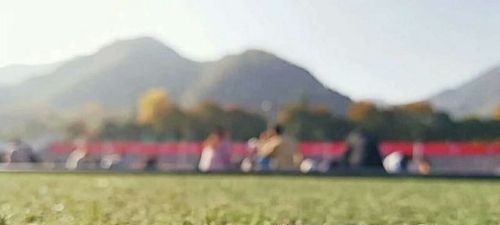 西安翻译学院2019年单招录取分数线