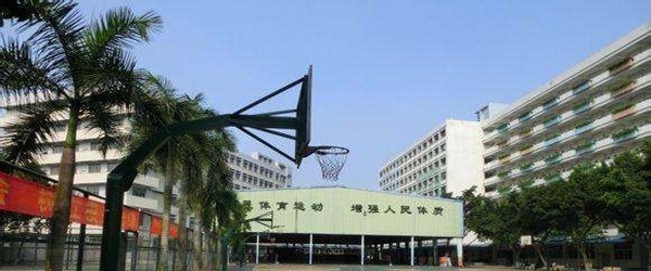 芜湖工商信息学校2021年招生录取分数线