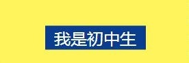 初中生