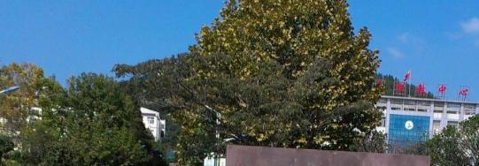 莒南县职业教育中心