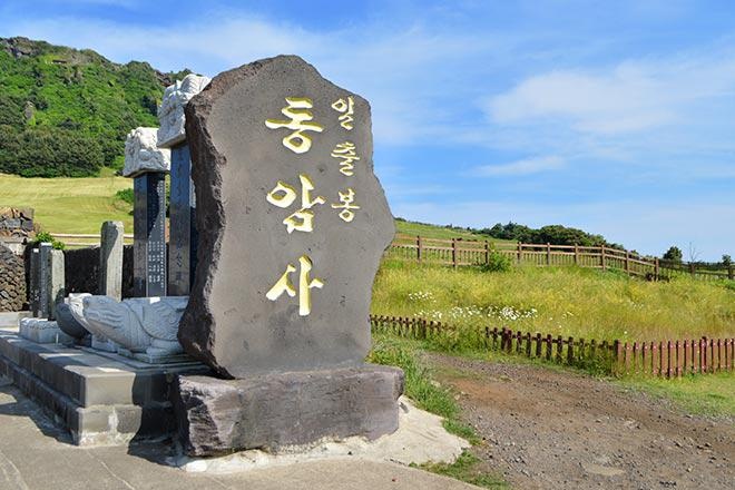 成都法亚教育简介