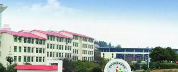 2023湖南外国语职业学院单独招生报名条件、招生要求、招生对象