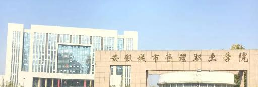 安徽城市管理职业学院是大专还是中专(安徽城市管理职业学院)