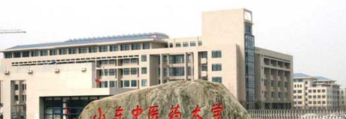 山东中医药大学是民办还是公办学校