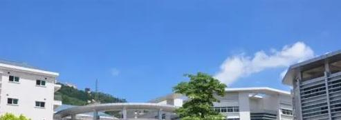 瑞得福国际学校2023年课程体系2