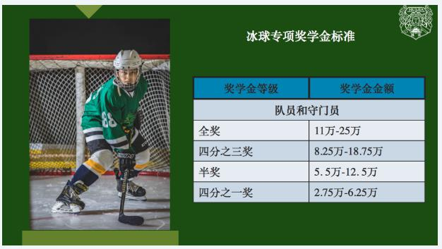 北京汇佳冰球队