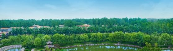 孔祖中等专业学校