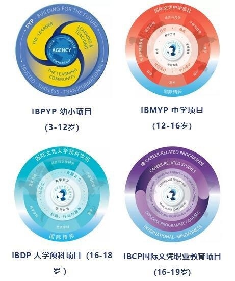 ib课程.jpg