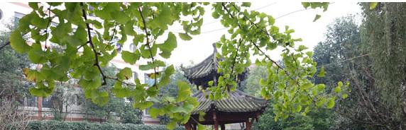 截图20181012094350