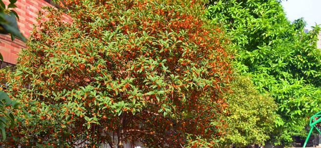 赣州育才职业中等专业学校